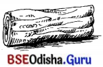 BSE Odisha 7th Class Sanskrit Solutions Chapter 4 ‘ଇ’ କାରାନ୍ତନପୁଂସକଲିଙ୍ଗଃ 7