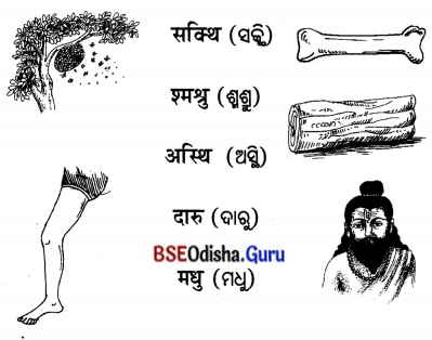 BSE Odisha 7th Class Sanskrit Solutions Chapter 4 ‘ଇ’ କାରାନ୍ତନପୁଂସକଲିଙ୍ଗଃ 9