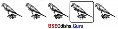 BSE Odisha 7th Class Sanskrit Solutions Chapter 6 ପୂରଣବାଚକଶବ୍ଦାଃ 4