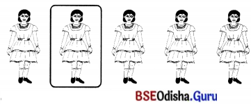 BSE Odisha 7th Class Sanskrit Solutions Chapter 6 ପୂରଣବାଚକଶବ୍ଦାଃ 6