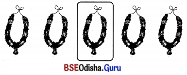 BSE Odisha 7th Class Sanskrit Solutions Chapter 6 ପୂରଣବାଚକଶବ୍ଦାଃ 7