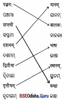 BSE Odisha 7th Class Sanskrit Solutions Chapter 6 ପୂରଣବାଚକଶବ୍ଦାଃ 9