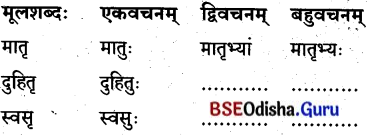 BSE Odisha 8th Class Sanskrit Solutions Chapter 1 ପରିବେଶଃ 11