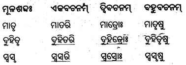 BSE Odisha 8th Class Sanskrit Solutions Chapter 1 ପରିବେଶଃ 16