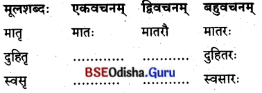 BSE Odisha 8th Class Sanskrit Solutions Chapter 1 ପରିବେଶଃ 17