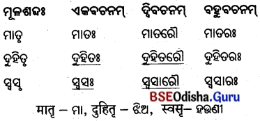 BSE Odisha 8th Class Sanskrit Solutions Chapter 1 ପରିବେଶଃ 18