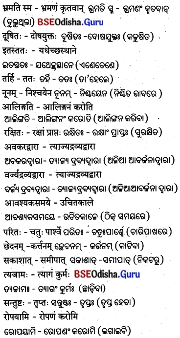 BSE Odisha 8th Class Sanskrit Solutions Chapter 1 ପରିବେଶଃ 20.
