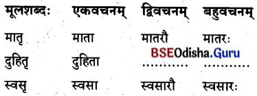 BSE Odisha 8th Class Sanskrit Solutions Chapter 1 ପରିବେଶଃ 3