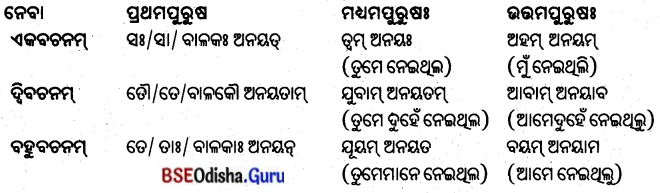 BSE Odisha 8th Class Sanskrit Solutions Chapter 10 ଜୀବନସ୍ୟ ରହସ୍ୟମ୍ 10