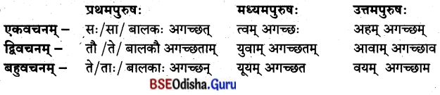 BSE Odisha 8th Class Sanskrit Solutions Chapter 10 ଜୀବନସ୍ୟ ରହସ୍ୟମ୍ 11