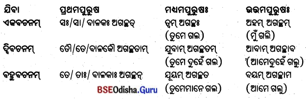 BSE Odisha 8th Class Sanskrit Solutions Chapter 10 ଜୀବନସ୍ୟ ରହସ୍ୟମ୍ 12