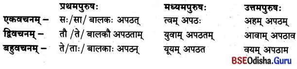 BSE Odisha 8th Class Sanskrit Solutions Chapter 10 ଜୀବନସ୍ୟ ରହସ୍ୟମ୍ 3