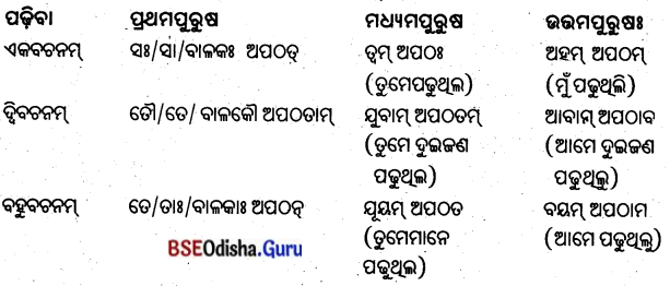 BSE Odisha 8th Class Sanskrit Solutions Chapter 10 ଜୀବନସ୍ୟ ରହସ୍ୟମ୍ 4
