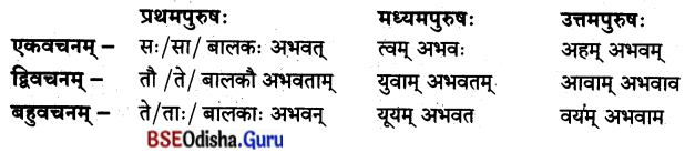 BSE Odisha 8th Class Sanskrit Solutions Chapter 10 ଜୀବନସ୍ୟ ରହସ୍ୟମ୍ 5