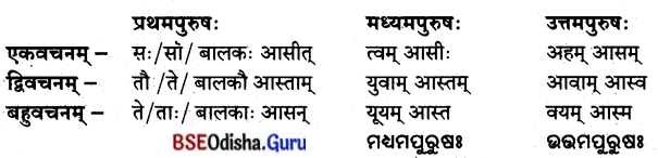 BSE Odisha 8th Class Sanskrit Solutions Chapter 10 ଜୀବନସ୍ୟ ରହସ୍ୟମ୍ 7