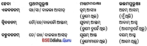 BSE Odisha 8th Class Sanskrit Solutions Chapter 10 ଜୀବନସ୍ୟ ରହସ୍ୟମ୍ 8