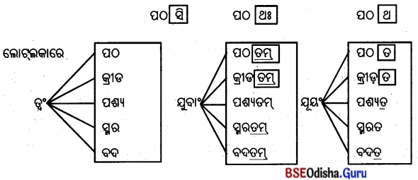 BSE Odisha 8th Class Sanskrit Solutions Chapter 11 ସେବା ହି ପରମୋ ଧର୍ମଃ 10