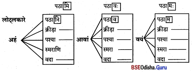 BSE Odisha 8th Class Sanskrit Solutions Chapter 11 ସେବା ହି ପରମୋ ଧର୍ମଃ 11