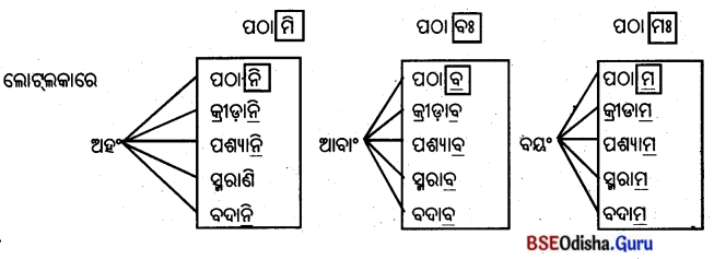 BSE Odisha 8th Class Sanskrit Solutions Chapter 11 ସେବା ହି ପରମୋ ଧର୍ମଃ 12