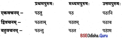 BSE Odisha 8th Class Sanskrit Solutions Chapter 11 ସେବା ହି ପରମୋ ଧର୍ମଃ 3