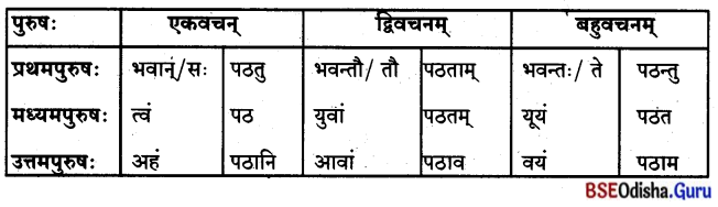 BSE Odisha 8th Class Sanskrit Solutions Chapter 11 ସେବା ହି ପରମୋ ଧର୍ମଃ 5