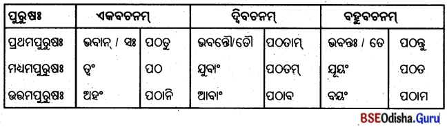 BSE Odisha 8th Class Sanskrit Solutions Chapter 11 ସେବା ହି ପରମୋ ଧର୍ମଃ 6