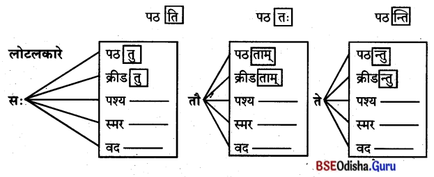 BSE Odisha 8th Class Sanskrit Solutions Chapter 11 ସେବା ହି ପରମୋ ଧର୍ମଃ 7