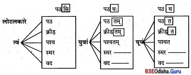 BSE Odisha 8th Class Sanskrit Solutions Chapter 11 ସେବା ହି ପରମୋ ଧର୍ମଃ 9
