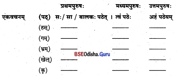 BSE Odisha 8th Class Sanskrit Solutions Chapter 12 ଲକ୍ଷ୍ୟପ୍ରାପ୍ତିଃ 3