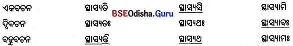BSE Odisha 8th Class Sanskrit Solutions Chapter 13 ମାତୃଭକ୍ତଃ ଚାଣକ୍ୟଃ 12
