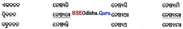 BSE Odisha 8th Class Sanskrit Solutions Chapter 13 ମାତୃଭକ୍ତଃ ଚାଣକ୍ୟଃ 14