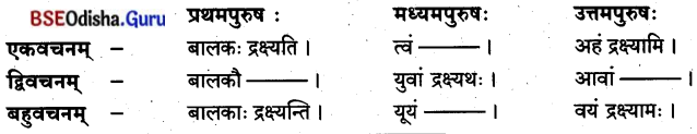 BSE Odisha 8th Class Sanskrit Solutions Chapter 13 ମାତୃଭକ୍ତଃ ଚାଣକ୍ୟଃ 7