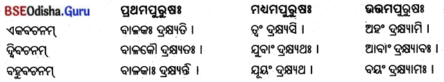 BSE Odisha 8th Class Sanskrit Solutions Chapter 13 ମାତୃଭକ୍ତଃ ଚାଣକ୍ୟଃ 8
