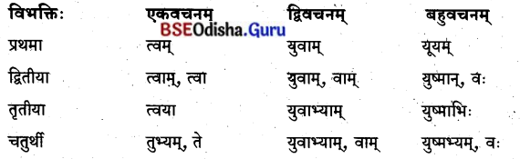 BSE Odisha 8th Class Sanskrit Solutions Chapter 2 ସାଧୁ ଗୋପାଳକୃଷ୍ଣ 4