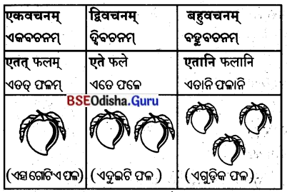 BSE Odisha 8th Class Sanskrit Solutions Chapter 4 କୃଷକଃ 31