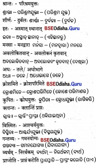 BSE Odisha 8th Class Sanskrit Solutions Chapter 5 ଯାତ୍ନେନ ସିଦ୍ଧିଃ 10.