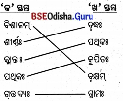 BSE Odisha 8th Class Sanskrit Solutions Chapter 5 ଯାତ୍ନେନ ସିଦ୍ଧିଃ 2