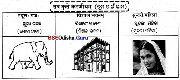 BSE Odisha 8th Class Sanskrit Solutions Chapter 5 ଯାତ୍ନେନ ସିଦ୍ଧିଃ 4