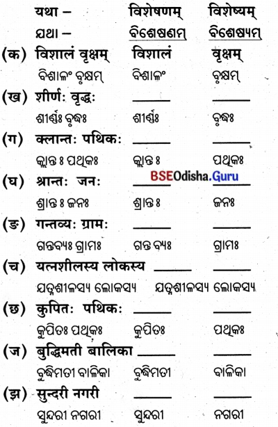 BSE Odisha 8th Class Sanskrit Solutions Chapter 5 ଯାତ୍ନେନ ସିଦ୍ଧିଃ 5
