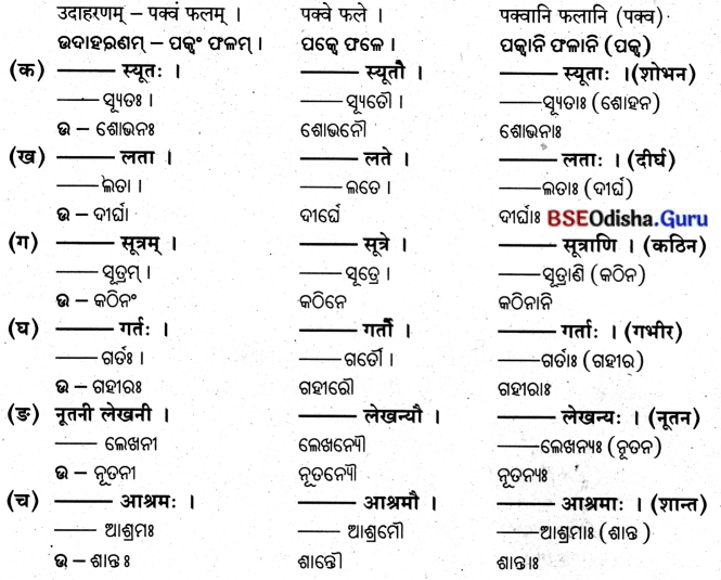 BSE Odisha 8th Class Sanskrit Solutions Chapter 5 ଯାତ୍ନେନ ସିଦ୍ଧିଃ 7