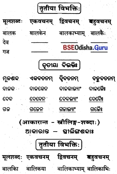 BSE Odisha 8th Class Sanskrit Solutions Chapter 6 ଗନ୍ଧମାଦନଃ 10
