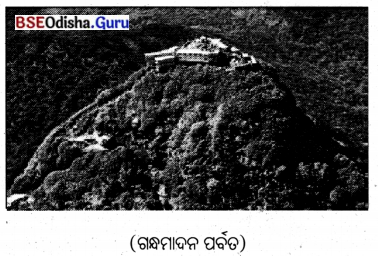 BSE Odisha 8th Class Sanskrit Solutions Chapter 6 ଗନ୍ଧମାଦନଃ 17