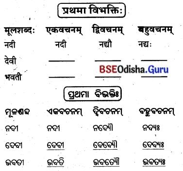 BSE Odisha 8th Class Sanskrit Solutions Chapter 6 ଗନ୍ଧମାଦନଃ 5