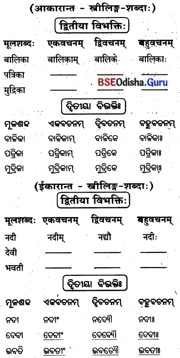 BSE Odisha 8th Class Sanskrit Solutions Chapter 6 ଗନ୍ଧମାଦନଃ 6