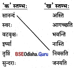 BSE Odisha 8th Class Sanskrit Solutions Chapter 9 ବିଚିତ୍ରା ସୃଷ୍ଟି 1