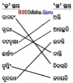 BSE Odisha 8th Class Sanskrit Solutions Chapter 9 ବିଚିତ୍ରା ସୃଷ୍ଟି 2