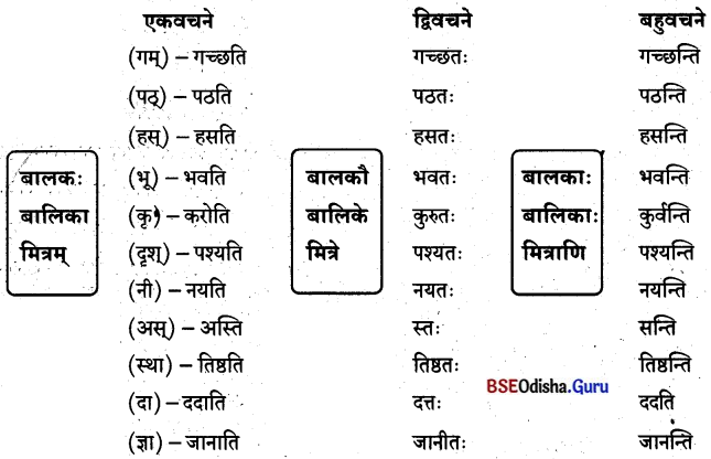 BSE Odisha 8th Class Sanskrit Solutions Chapter 9 ବିଚିତ୍ରା ସୃଷ୍ଟି 3