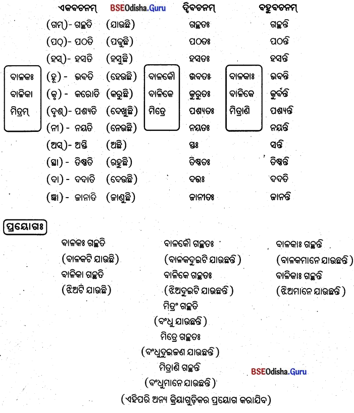 BSE Odisha 8th Class Sanskrit Solutions Chapter 9 ବିଚିତ୍ରା ସୃଷ୍ଟି 4
