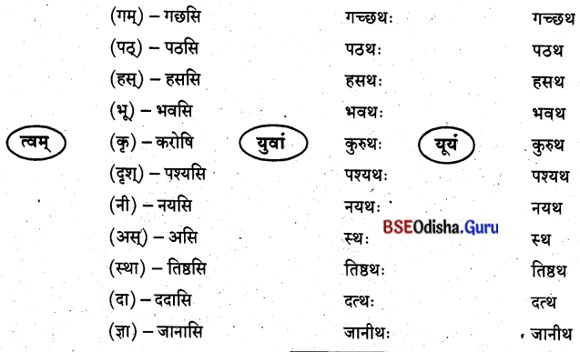 BSE Odisha 8th Class Sanskrit Solutions Chapter 9 ବିଚିତ୍ରା ସୃଷ୍ଟି 5
