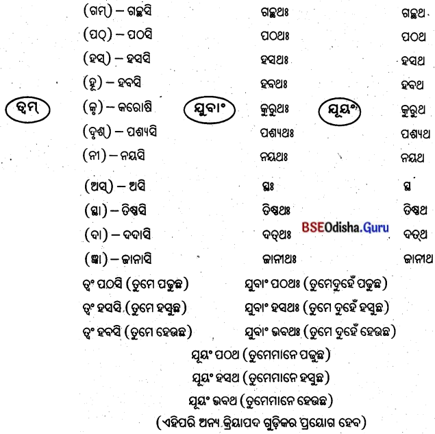 BSE Odisha 8th Class Sanskrit Solutions Chapter 9 ବିଚିତ୍ରା ସୃଷ୍ଟି 6